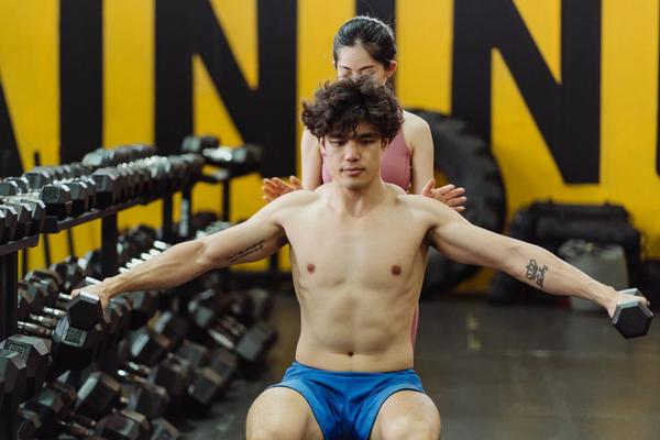 full body workout program for beginners